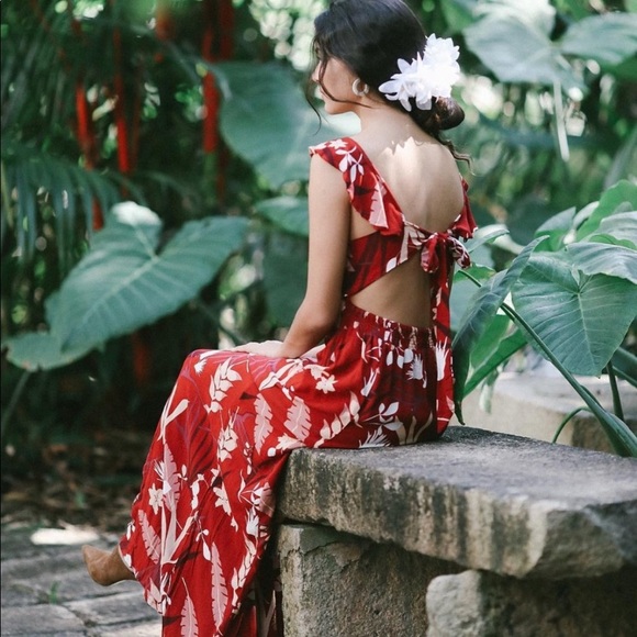 Ava Sky Dresses & Skirts - Ava Sky Hawaii floral tropics red backless maxi dress